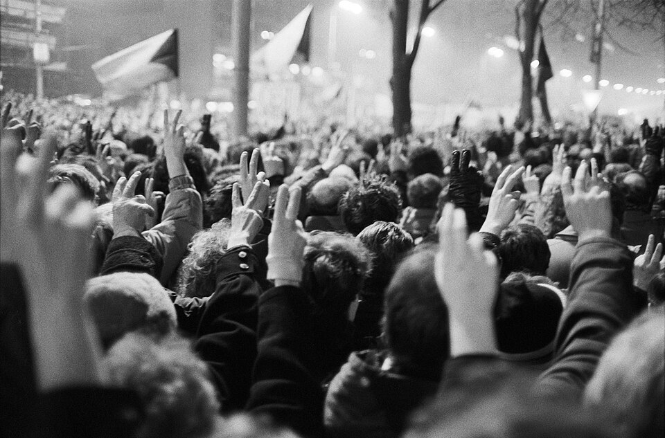 Photo: Robbie Ian Morrison | Wikimedia Commons – CC BY 4.0